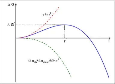 Fig. 1.2. Variation d’énergie libre associée à la formation d’un germe sphérique en  fonction de son rayon.