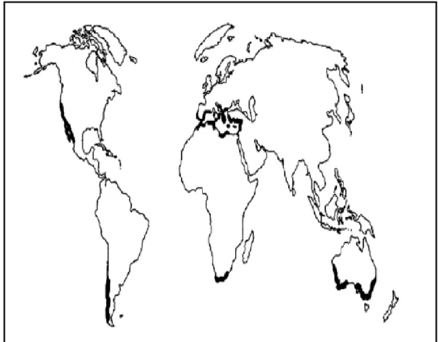 Figure 06.  Air de distribution du caroubier dans le monde (Batlle et  Tous, 1997). 