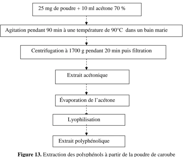 Figure 13. Extraction des polyphénols à partir de la poudre de caroube   (Benchikh et Louailèche, 2014)
