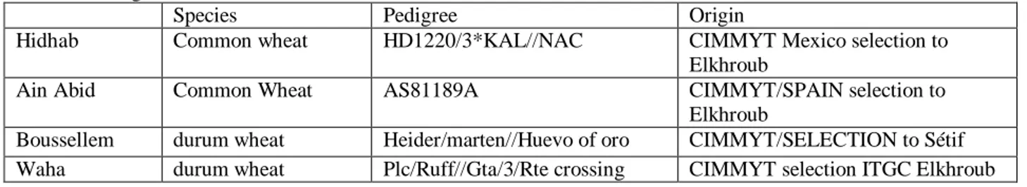 Table 1:- Origin of the varieties of common wheat and durum wheat . 