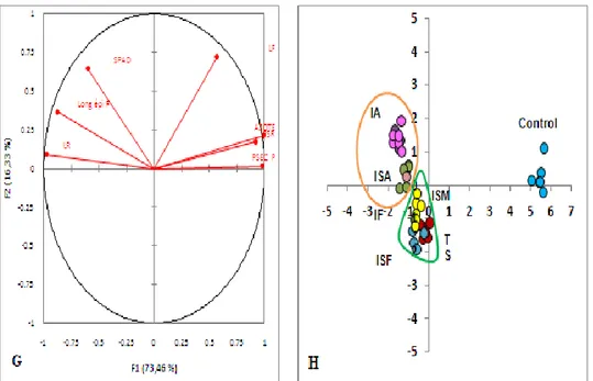 Figure 2:-  Principal component analysis (E, F) Projection of measured parameters (length of ear, leaf and root, dry  weight of the plant and roots, nitrogen content and chlorophyll) inoculated treatment and not inoculated respectively   with  Boussellem  