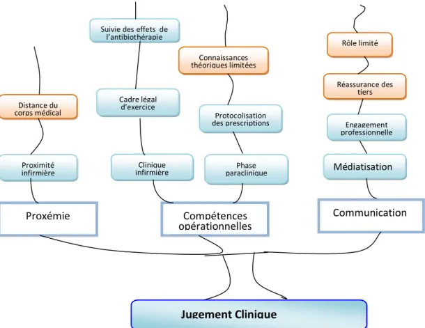 Figure 8: Arbre thématique du rôle infirmier dans prescription de l’antibiotique 