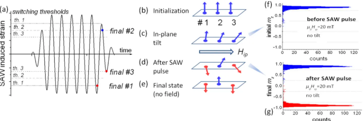 FIG. 3. (a)–(e) Schematics of a SAW strain pulse and associated macrospin behavior leading to SAW-assisted precessional switching in the presence of anisotropy dispersion