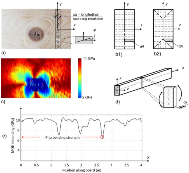 Fig. 3 (a) Local fibre orientation scanned on a member’s surface by means of a row of laser dots, (b1, b2) cross-section divided into  sub-areas implying that the exhibited angle φ and corresponding MoE in the longitudinal direction, E x (x,y,z), are valid