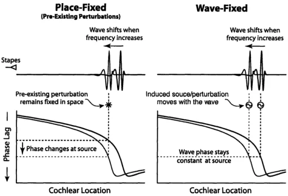 Figure  1-8:  Snapshots  of  BM  response  to  demonsrate  wave-fixed  versus  place-fixed  behavior.