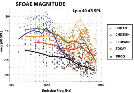 Figure  3-3:  Comparison  of  SFOAE  magnitude  across  species  for  L,  =  40  dB  SPL