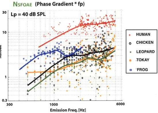 Figure  3-5:  Comparison  of  NSFOAE  values  across  species  for  L,  =  40  dB  SPL  stemming  from the  phase cuves  shown  in  Fig