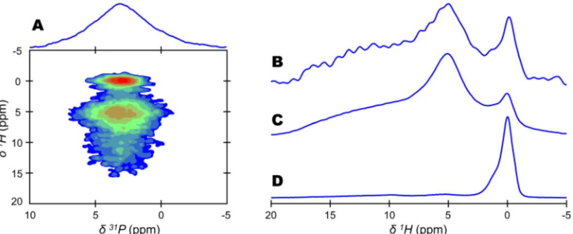 Figure 1.  Detection of hydrogen-bearing species in bone mineral.  1 H- 31 P cross polarization (CP) based magic  angle spinning (MAS) solid-state Nuclear Magnetic Resonance (ssNMR) spectra of a dry 2-year-old sheep bone  tissue sample