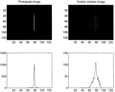 Figure  3-3:  The  projection  images  through  photopeak  window  and  scatter  window and  their  projection  profiles.