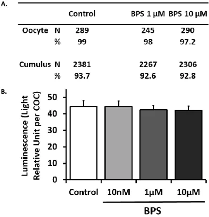 Figure 2. Effect of Bisphenol S (BPS) during in vitro maturation (IVM) on the blastocyst rate