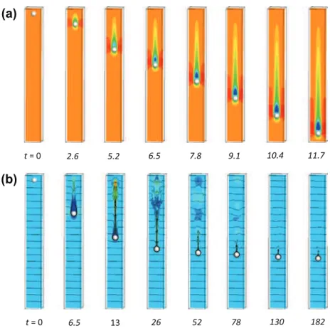 Fig. 20. Three-dimensional simulation of the sedimentation of a sphere at Re ¼ O ð10 3 Þ in (a) a constant-density flow (Fr ¼ 1) and (b) a linearly stratified flow (Fr ¼ 4:6)