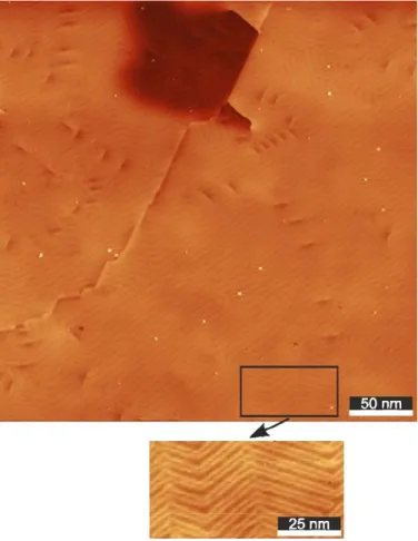 FIG. 2 shows STM pictures of various amounts of Co deposited at RT on the Au surfaces described above