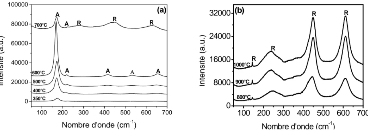 Figure 20 :    Spectres Raman de poudres de TiO 2  traitées à différentes températures   (a) 350-700°C, (b) 800-1000°C 