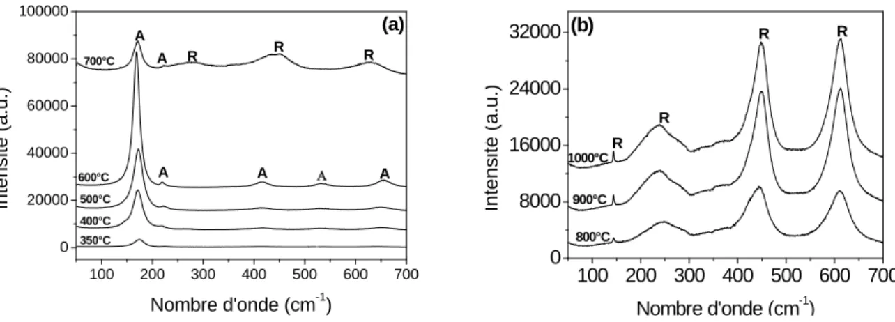 Figure 20 :    Spectres Raman de poudres de TiO 2  traitées à différentes températures   (a) 350-700°C, (b) 800-1000°C 