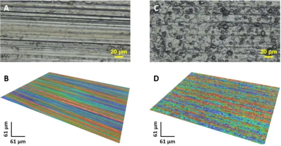 Figure 1. Optical micrographs of surface substrate (A) before and (C) after surface preparation and  respectively (B) and (D) for the 3D reconstitution