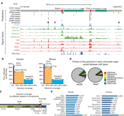 Figure 1. Overview of the mouse ENCODE data sets