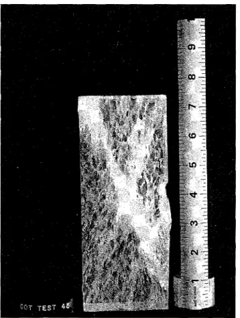 FIG.  7.  Crack  distribution  after  brittle  failure  of  type  S2  ice;  strain  at  failure  O.11%,  T  =  -10  &#34;C