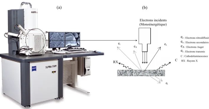 Figure 3.2 : (a) : Photographie du microscope électronique à balayage que nous avons utilisé pour la                                    caractérisation morphologique des films