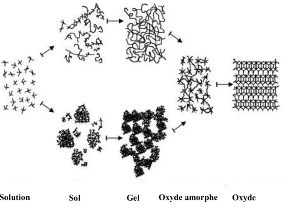 Figure I.1: Schéma de principe de la synthèse sol–gel d’un oxyde cristallin, Westin [12]