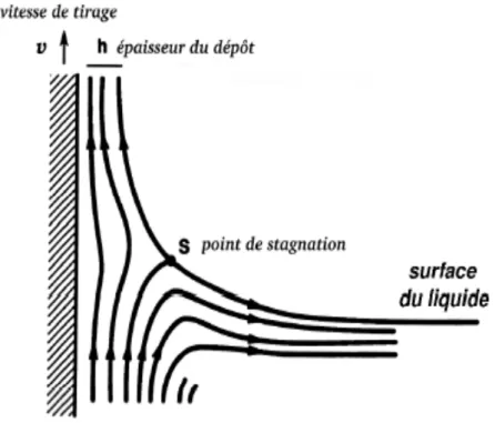 Figure I.7 : Aspect physique du dépôt du film par “dip–coating” [34]. 