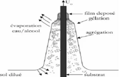 Figure I.9: Représentation schématique du liquide déposé sur le substrat  par la méthode Dip–Coating