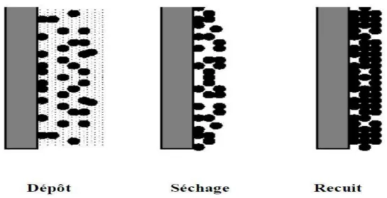 Figure I.10: Influence du séchage et du traitement thermique sur la porosité des  couches minces obtenus par la méthode dip-coating