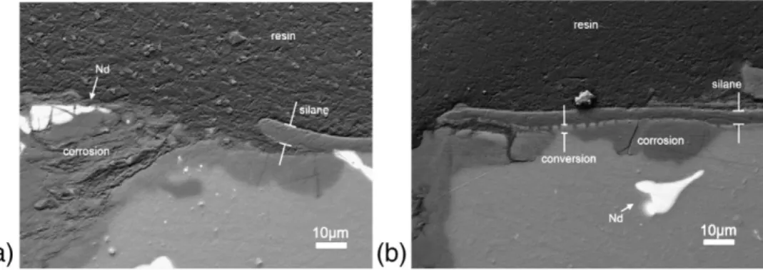 Fig. 15. Cross-section SEM images on a BEC mode of the corrosion pits formed on the El21 alloy samples after 192 h of immersion in 0.05 M NaCl