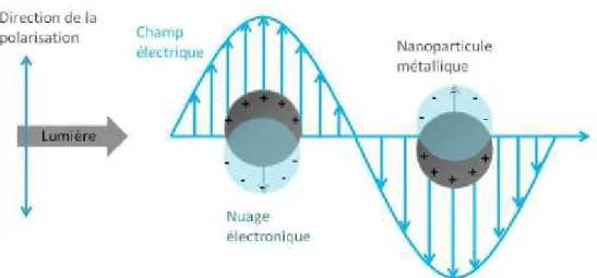 Figure  2.2  : Schéma  illustrant  l’action  d’un  champ  électrique  d’une  onde  électromagnétique  sur le nuage électronique d’une nanoparticule métallique [6] 