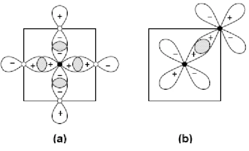 Figure I-02 : Les orbites principales du métal Me, (cercles pleins) et non-métal, Y=C, N,                                          (Cercles transparents) dans les plans (001) d'une structure  NaCl: 