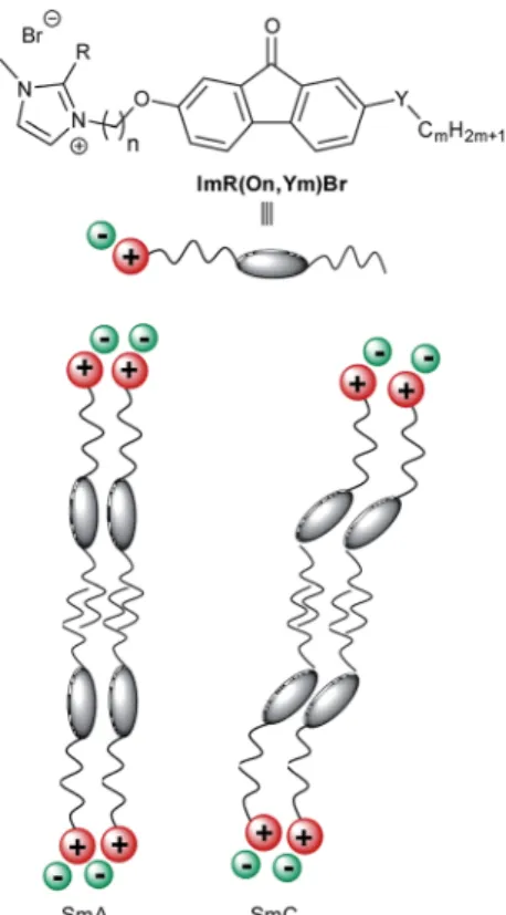 Fig. 13 Textures of Im(O12,O10)Br observed under the POM in a glass cell with rubbed nylon alignment layer of 1.6 m m thickness upon slow cooling from the isotropic liquid to achieve planar alignment
