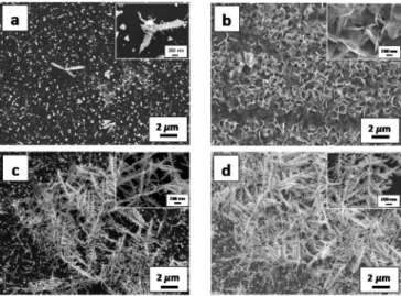 Figure 1. SEM images of Si/Bi5 (a), Si/Bi30 (c) and Si/Bi60 (d) photocathodes  electrodeposited from 1 M HNO 3  solution containing 20 mmol L -1  Bi(NO 3 ) 3 •5H 2 O