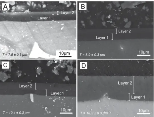 Fig. 5. SEM images of the cross-section of the bilayer hybrid coatings A–D.