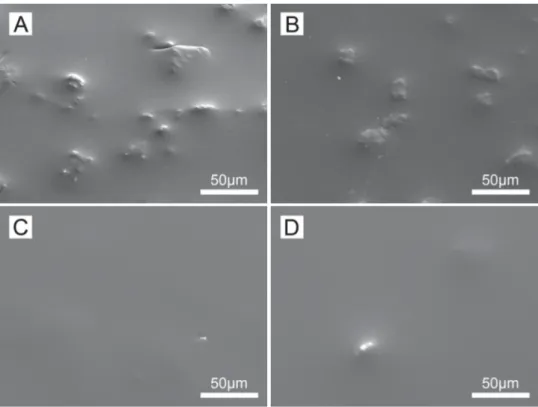 Fig. 7. SEM images of the surface of the bilayer hybrid coatings A–D.
