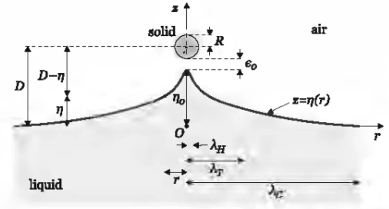 FIG.  1.  Scheme  of  the  liquid surface deformation in interaction  with  a probe.  Parameters  defined in  the  text