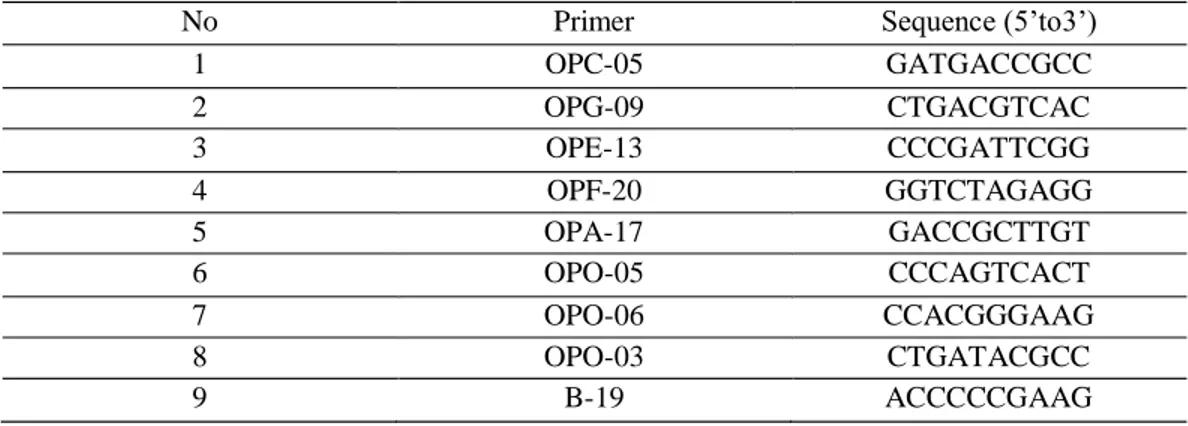 Table 1: Nucleotide sequences of the 09 primers used in the study. 