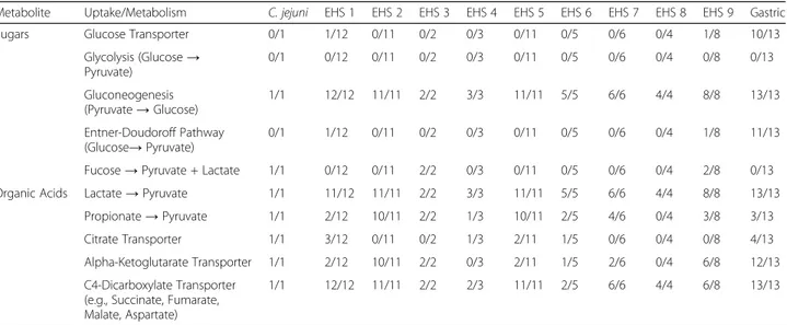 Figure S4). While all Helicobacter spp. genomes can synthesize PRPP from glucose via the non-oxidative branch of the pentose phosphate pathway, only EHS  ge-nomes encode the pathways to metabolize PRPP into  his-tidine and then into purines (Table 3)