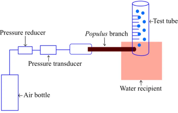FIG. 3. (Color online) Diagram of air seeding experiments.