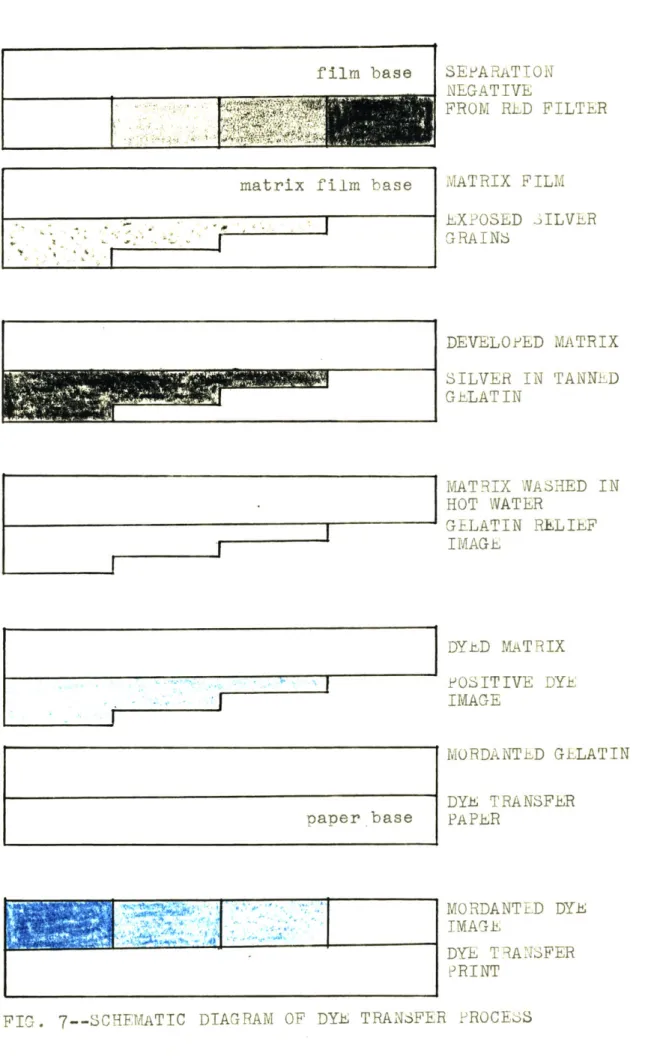 FIG.  7--SCHEMATIC  DIAGRAM  OF  DYE  TRANSFER  ?ROCESSpaper  base