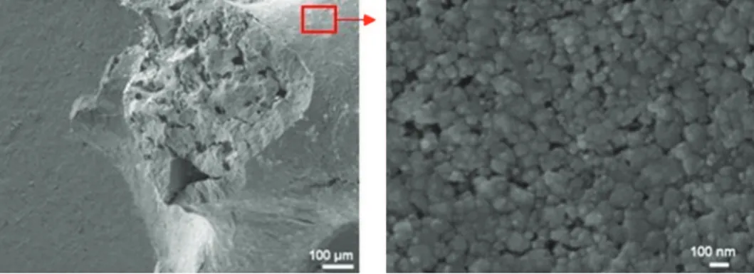 Fig. 2. scanning electron micrographs of (a) a section of a SiC foam strut, (b) the SiC foam surface.