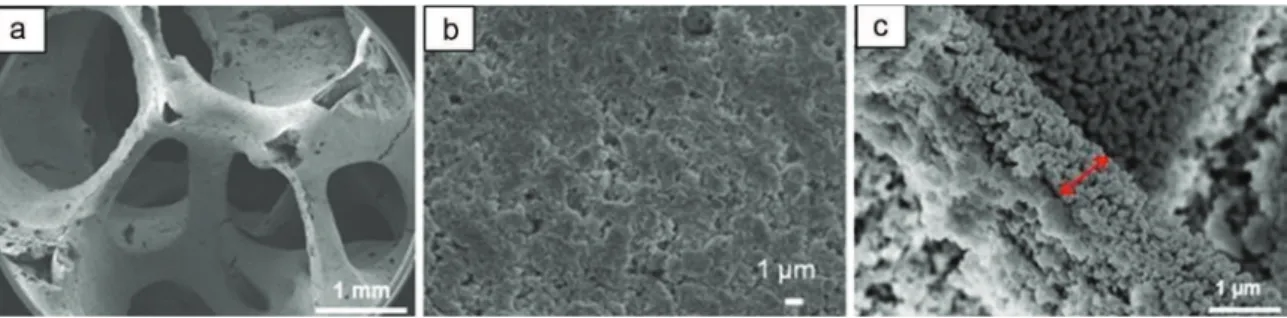 Fig. 11. Cr 2 O 3 coatings made with a nitrate concentration of 1.0 M (a) view of the coated foam, (b) sheet structure of the coating.