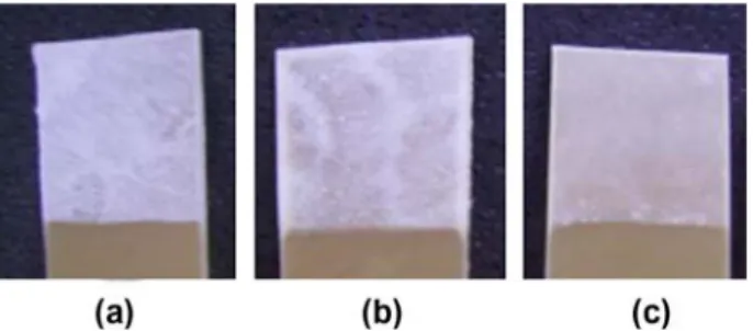 Figure 1. Photographs taken from fatty acid coatings after drying for 2 h at room temperature