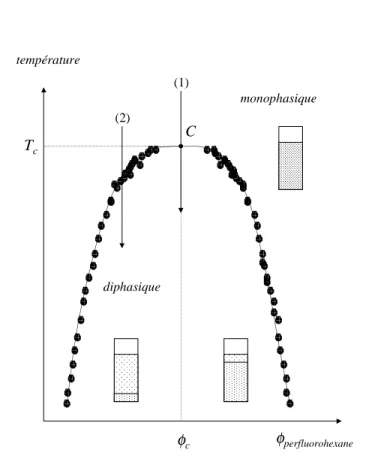 Fig. 1.2 { Diagramme de phase d'un m elange binaire partiellement miscible compos e de peruo-