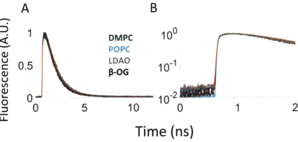 Figure  10:  Time-correlated  single  photon  counting  (TCSPC)  experiments  and  curve  fitting  were performed  as  described  previously  [101]