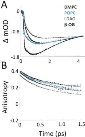Figure  12:  Transient  absorption  data  of  LH2  in  different  solubilization  environments