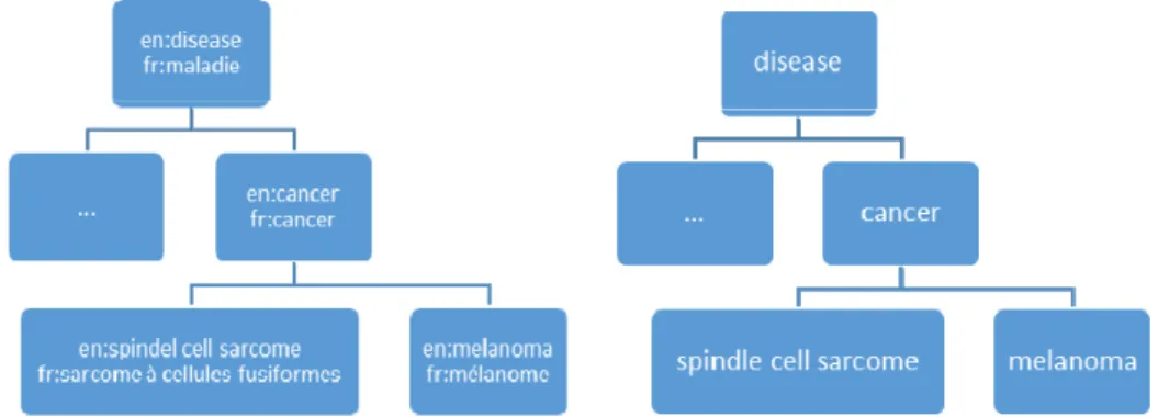 Fig. 1.   Examples of multilingual and monolingual ontologies. 
