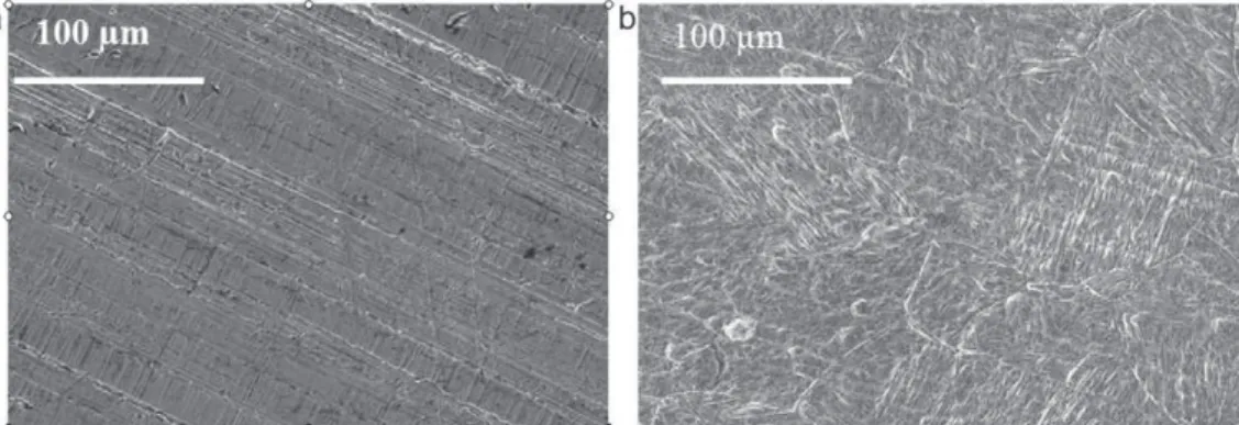Fig. 2. SEM images of surface morphologies of X13VD stainless steel before (a) and after (b) cleaning.