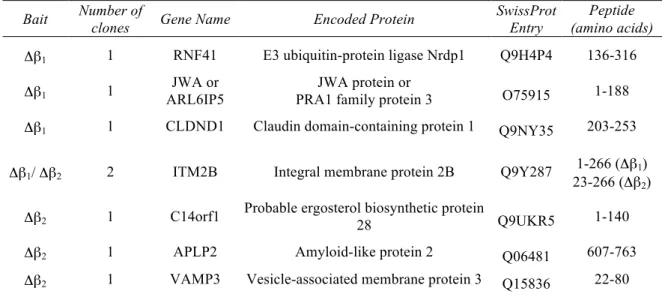 TABLE 4-2. Positive clones identified in Y2H screening of a human brain cDNA library using  Δβ 1 or  Δβ 2  as bait