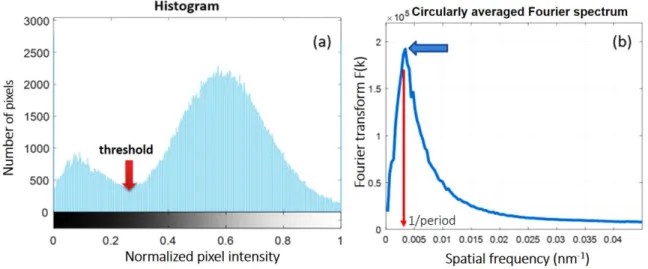 Fig. 6. Histogram of the pixel intensities of a typical top-down SEM micrograph of the copper  surface morphology (a)
