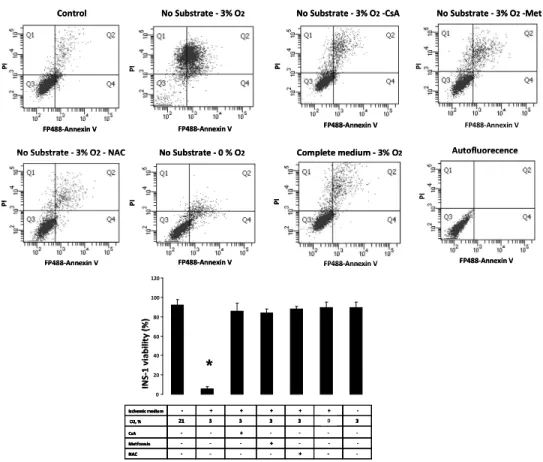 Figure 1. Respective effects of oxygen and energy substrates deprivation on INS-1 cell viability