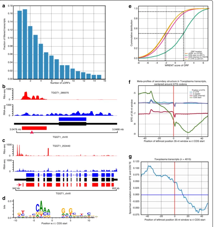 Fig. 4 Open reading frames in 5 ′ leader sequences (uORFs) are abundant in Toxoplasma